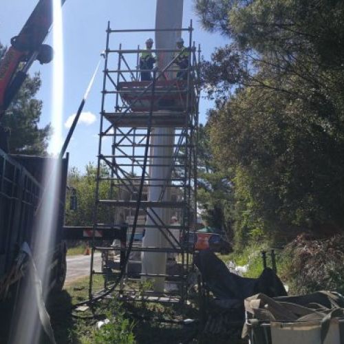 Columna Insitu Marina cudello